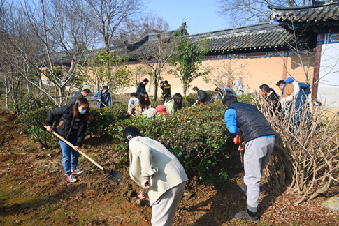 web黨員、團(tuán)員共同線下植樹(shù).jpg